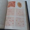 Picture of The Household Physician: A Family Guide to the Preservation of Health and to the Domestic Treatment of Ailments and Dsease, with Chapters on Food and Drugs, and First Aid in Accidents and Injuries (Volumes I and II)