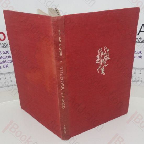 Picture of Thunder Island