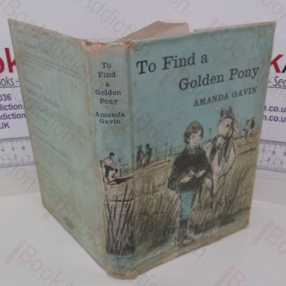 Picture of To Find a Golden Pony