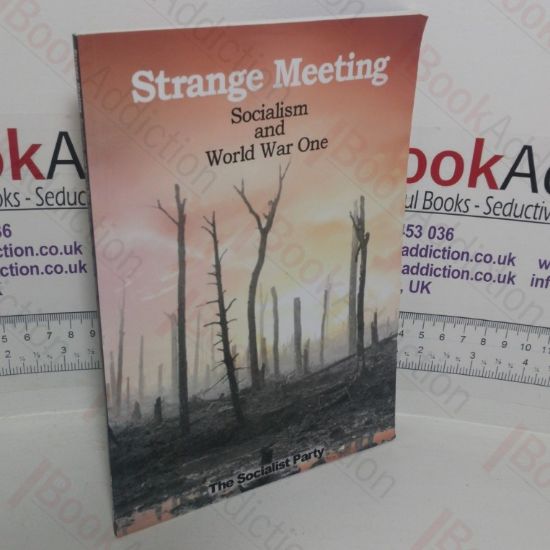 Picture of Strange Meeting: Socialism and World War One