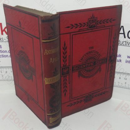 Picture of Anthropoid Apes (International Scientific series, Volume LIII)