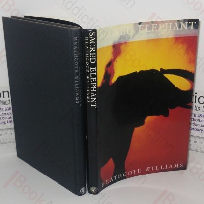 Picture of Sacred Elephant