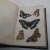 Picture of British Butterflies: Figures and Descriptions of Every Native Species with an Account of Butterfly Development, Structure, Habits, Localities, Mode of Capture and Preservation etc