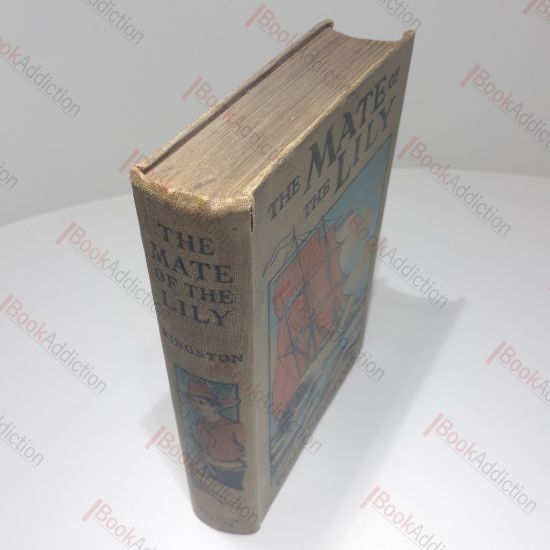 Picture of The Mate of the Lily