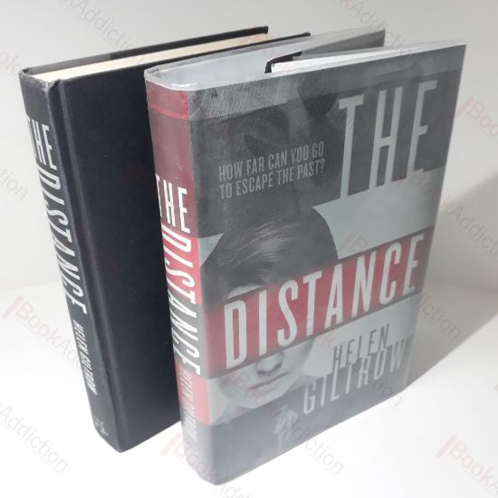 Picture of The Distance (Signed)