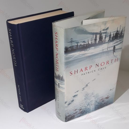 Picture of Sharp North (Signed)