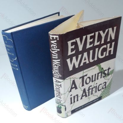 Picture of A Tourist in Africa