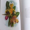 Picture of The Gardener's Assistant : A Practical and Scientific Exposition of the Art of Gardening in all its Branches (6 volumes)
