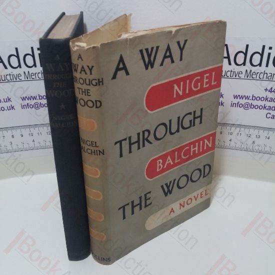 Picture of A Way Through the Wood