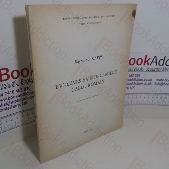 Picture of Escolives Sainte-Camille Gallo-Romain: Le Site, Le Monument Ã  Arcades