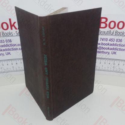 Picture of Wild Flowers and Weeds