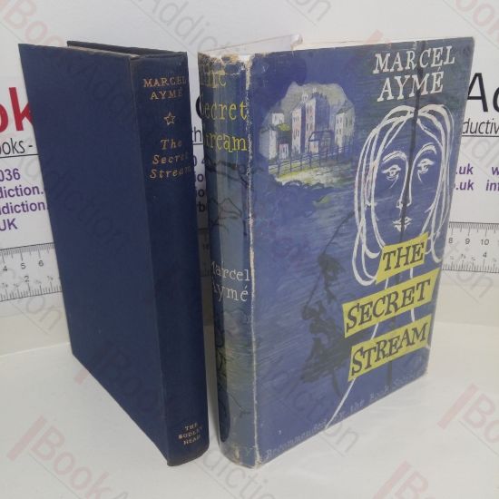 Picture of The Secret Stream