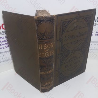 Picture of A Son of Hagar : A Romance of Our Time