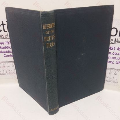 Picture of Illustrations of the British Flora: A Series of Wood Engravings, with Dissections