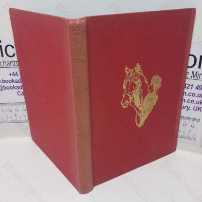 Picture of King of the Wind