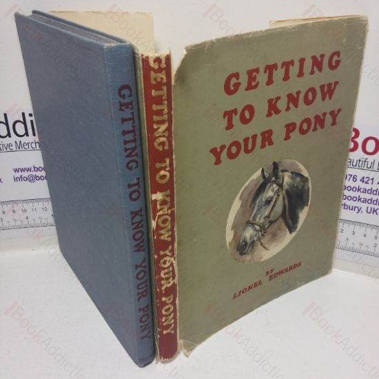 Picture of Getting to Know Your Pony