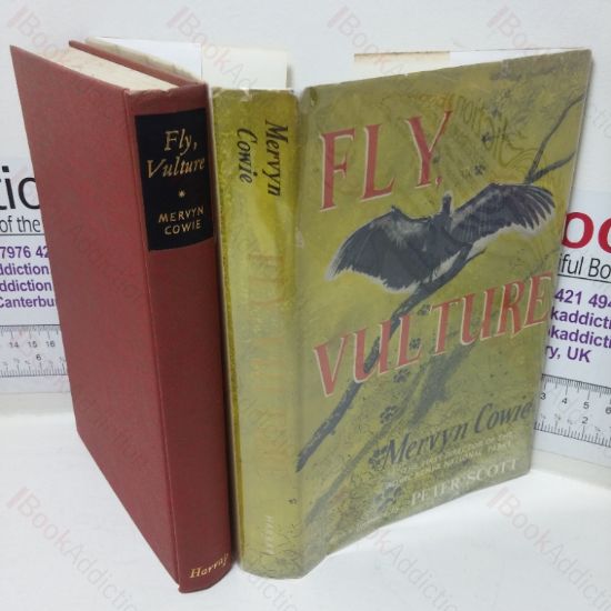 Picture of Fly Vulture