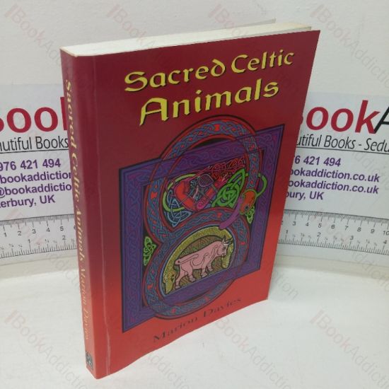 Picture of Sacred Celtic Animals