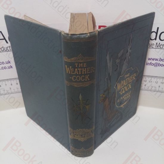 Picture of The Weathercock, Being the Adventures of a Boy with a Bias