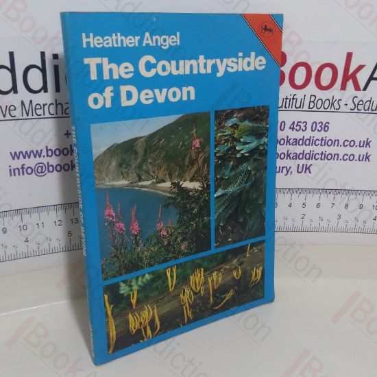 Picture of The Countryside of Devon