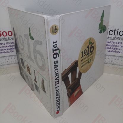 Picture of 1916 Sackville Street Art Project: Remembering 262 Civilians Through Art