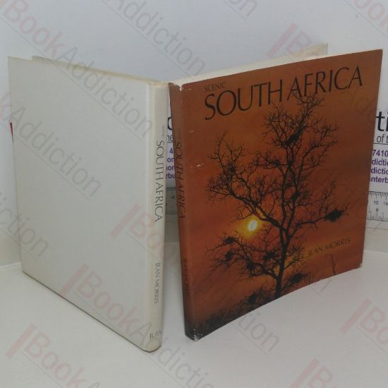 Picture of Scenic South Africa