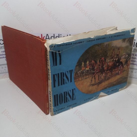 Picture of My First Horse