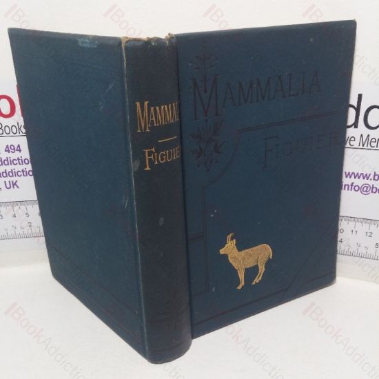 Picture of Mammalia: Their Various Forms and Habits, Popularly Illustrated by Typical Species