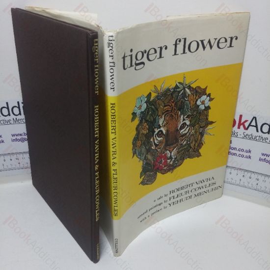 Picture of Tiger Flower