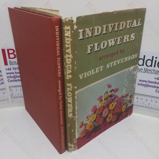 Picture of Individual Flowers Arranged by Violet Stevenson