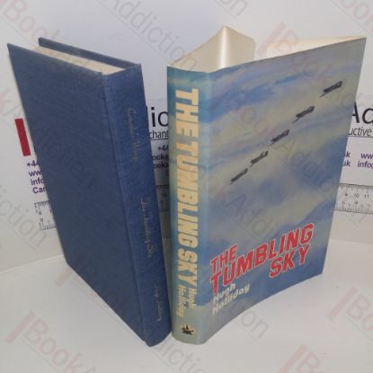 Picture of The Tumbling Sky