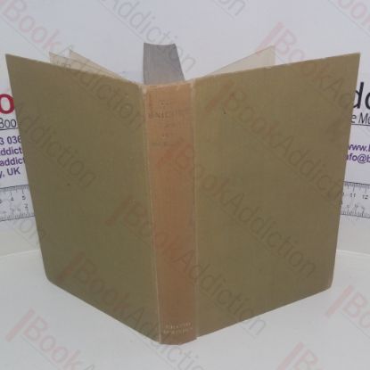 Picture of The Unicorn