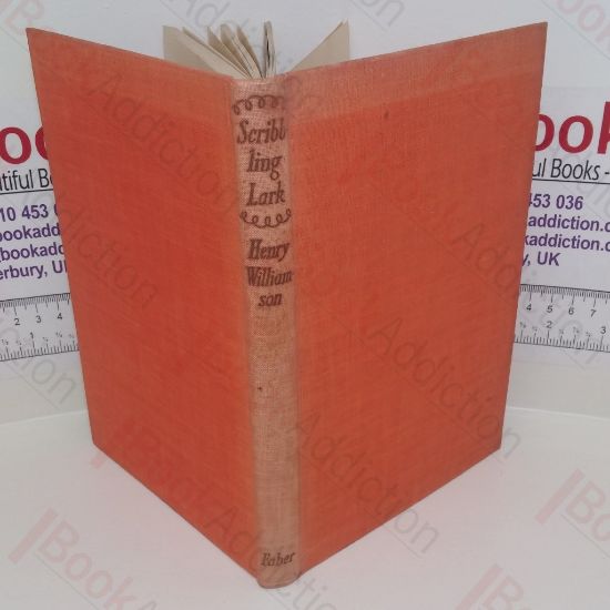 Picture of Scribbling Lark