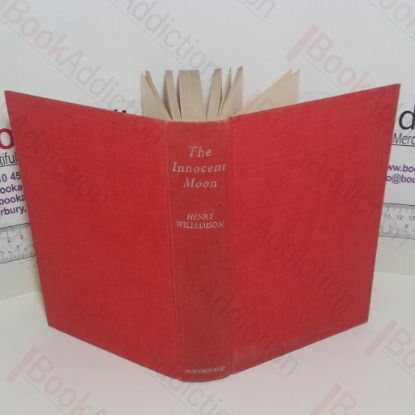 Picture of The Innocent Moon