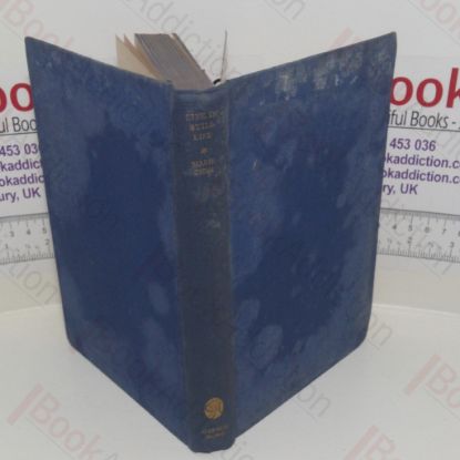 Picture of Life in Still Life (Signed and inscribed)