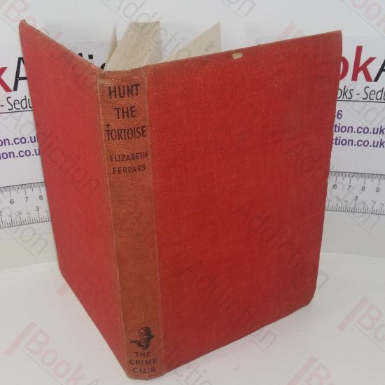 Picture of Hunt the Tortoise