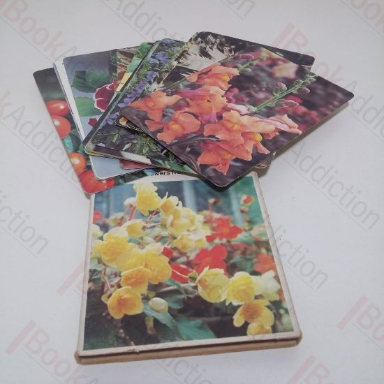 Picture of Webbs' Gardening Cards: Flowers from Seed