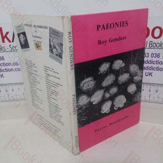 Picture of Paeonies [Peonies]