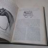Picture of The Arabian Horse, His Country and People, With Portraits of Typical or Famous Arabians and Other Illustrations, Also a Map of the Country of the Arabian Horse and Descriptive Glossary of Arabic Words and Proper Names