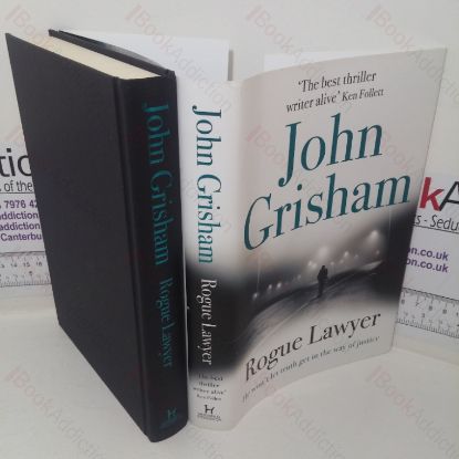 Picture of Rogue Lawyer