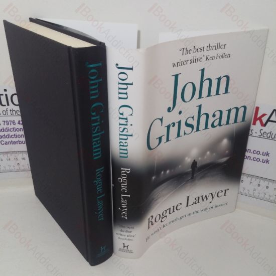 Picture of Rogue Lawyer