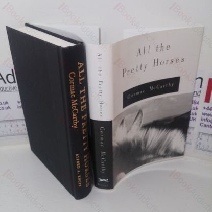 Picture of All the Pretty Horses