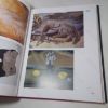 Picture of Salvador Dalí: The Paintings, 1904 - 1989 (Two volumes in slipcase)