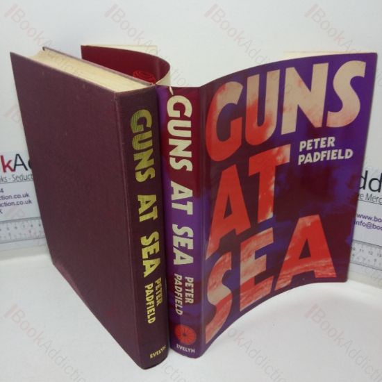 Picture of Guns at Sea