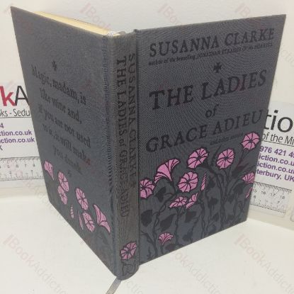 Picture of The Ladies of Grace and Other Stories