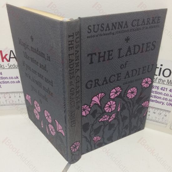 Picture of The Ladies of Grace and Other Stories