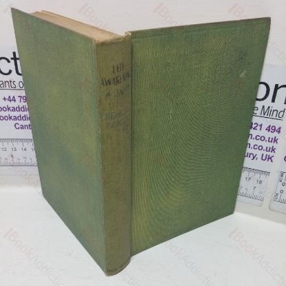 Picture of The Awakening of Japan