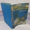 Picture of Air Battles in Miniature: A Wargamers' Guide to Aerial Combat, 1939-1945