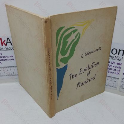 Picture of The Evolution of Mankind