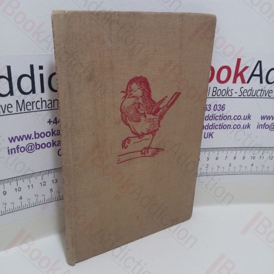 Picture of Robin Bluebreast and Other Tales